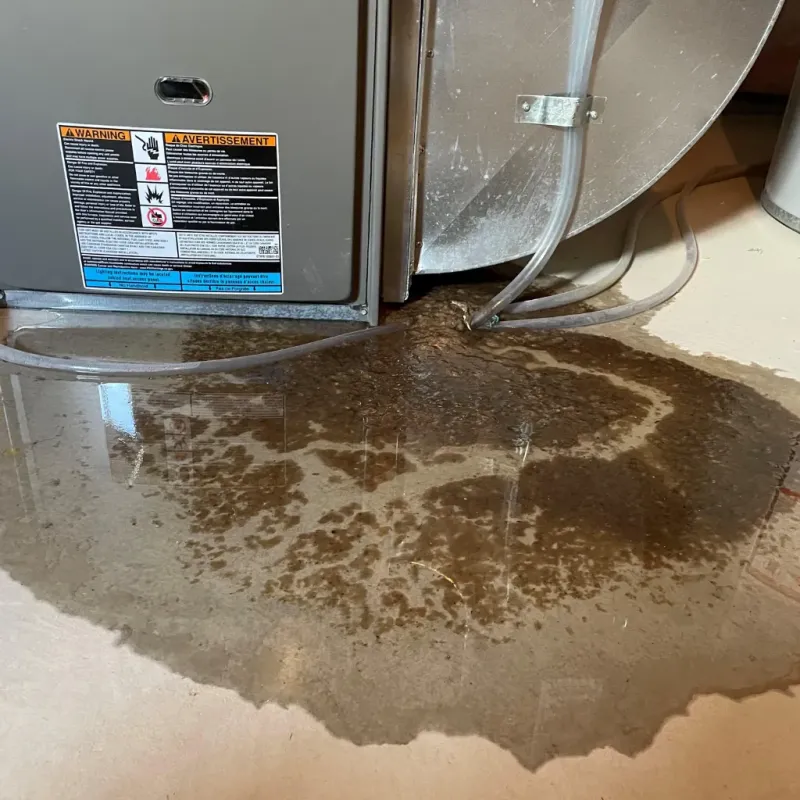 Appliance Leak Cleanup in Jayton, TX